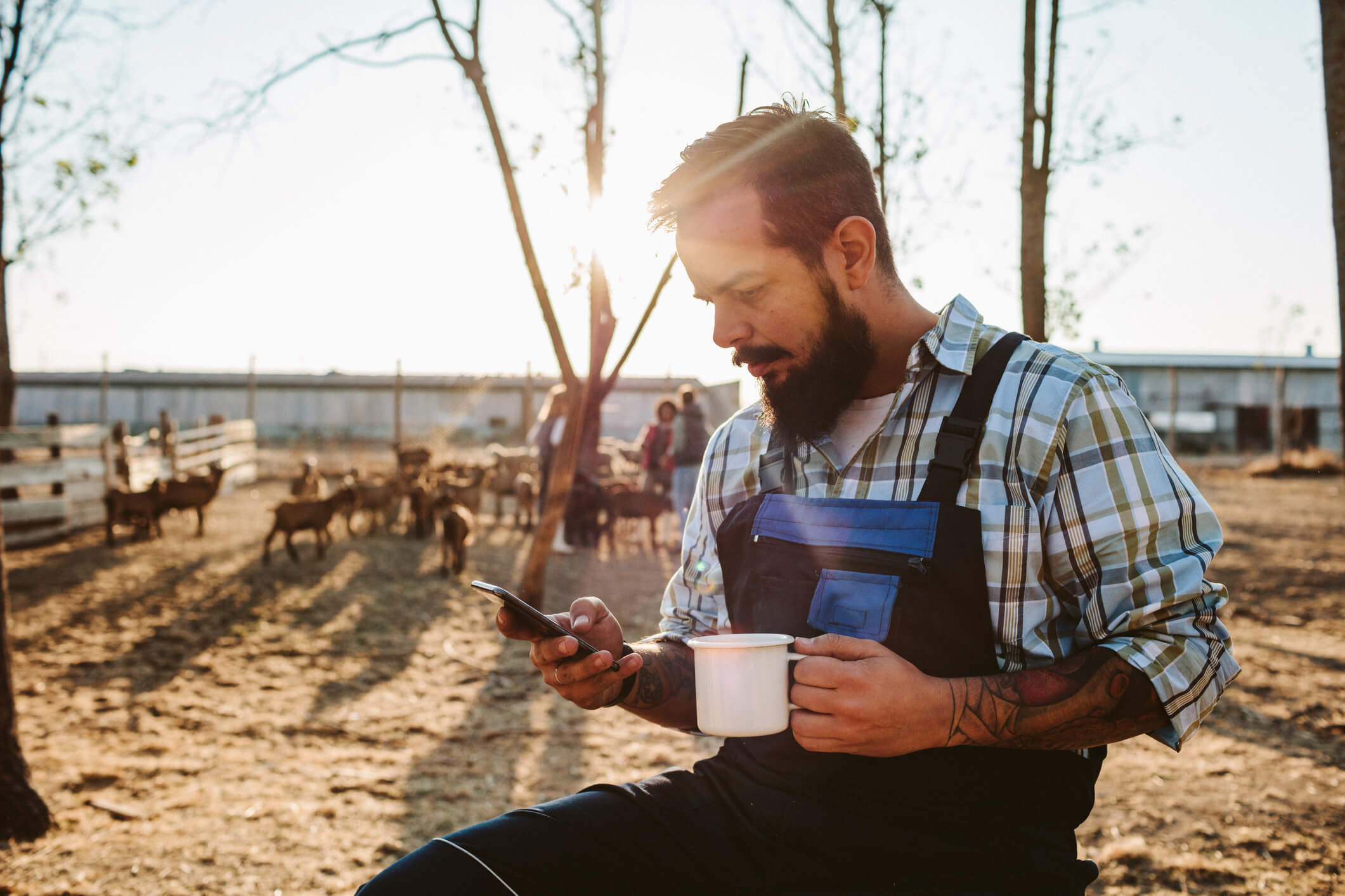 Farmer using Cardihab app